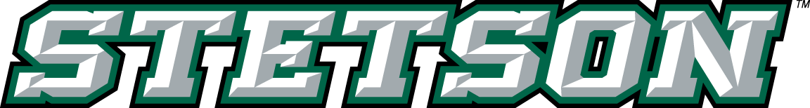 Stetson Hatters 2008-2017 Wordmark Logo diy iron on heat transfer